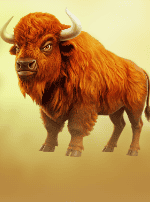 Buffalo King-bg