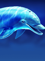 Dolphin Delight-bg