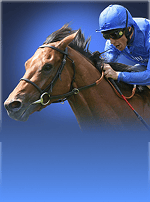 Frankie Dettori's Magic Seven Blackjack-bg
