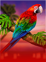 Flamingo Paradise-bg