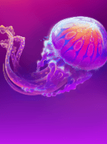 Jellyfish Flow-bg