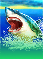 Shark Blitz-bg