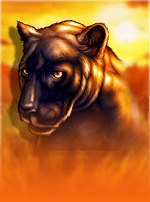 Cats-bg