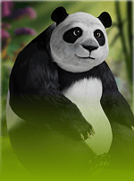 Panda Money-bg