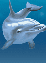 Dolphin's Pearl Deluxe 10-bg