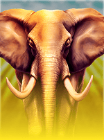 Elephant Stampede-bg