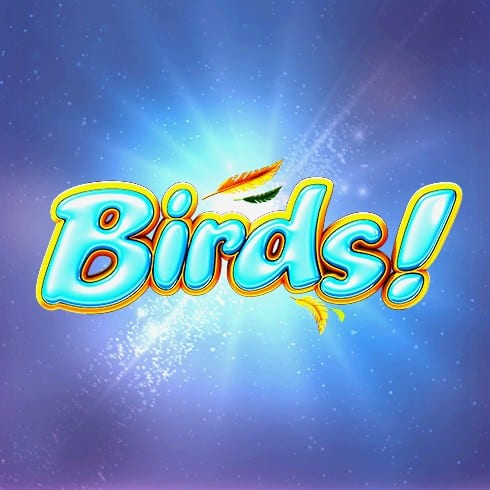 Birds!