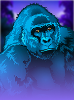 Congo Cash