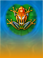 Frog's Gift