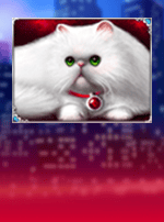 100 cats