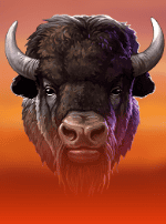 Buffalo Trail