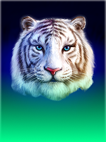 Water Tiger