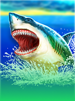 Shark Blitz