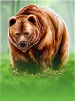 Great Bear