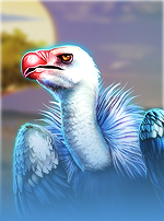 Majestic White Rhino