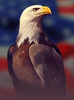 American Fortunes