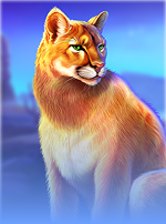 Buffalo King Untamed Megaways