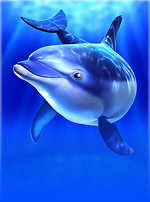 Cash Connection - Dolphin's Pearl Linked