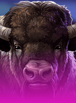 Buffalo Trail Lite