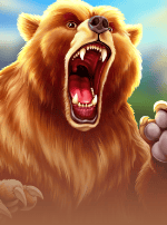 Lone Star Link Grizzly Wins