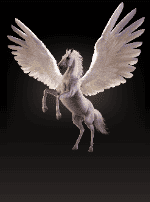 Divine Fortune Black