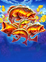 Wild Fish Bonanza