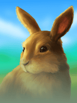 Dice of Magic Easter Edition