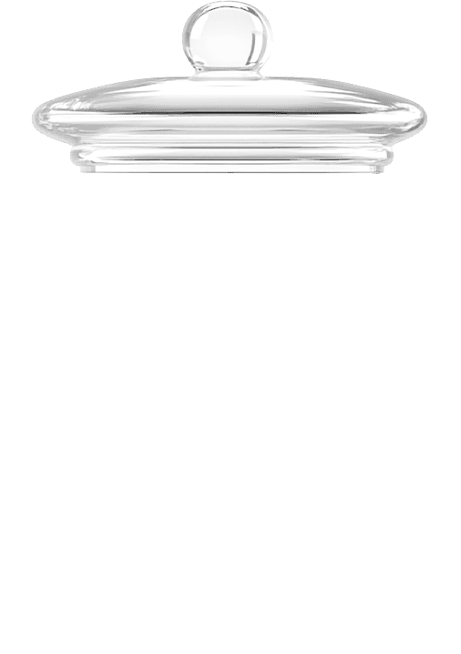 lid