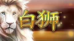 Bai Shi