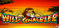Wild Gambler